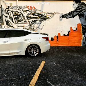 1 2017 Maxima Nissan S Bc Racing Coilovers Artisa Artformed Elder Silver