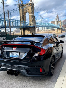 1 2019 Civic Honda Si Eibach Lowering Springs Artisa Artformed Carrier Bronze