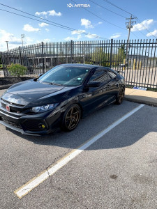 1 2019 Civic Honda Si Eibach Lowering Springs Artisa Artformed Carrier Bronze