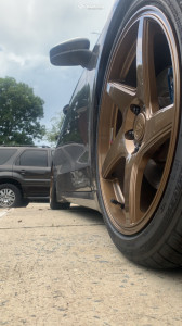 1 2019 Fusion Ford S Godspeed Project Coilovers Artisa Artformed Kinetic Bronze