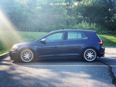 1 2015 Gti Volkswagen S Eibach Lowering Springs Artisa Artformed Elder Silver