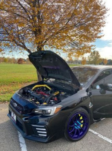 2018 Subaru WRX STI - 18x9.5 35mm - Anovia Night - Stock Suspension - 245/40R18