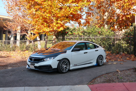 1 2019 Civic Honda Lx D2 Racing Lowering Springs Anovia Elder Brushed Apollo Silver