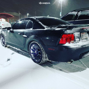 1 2003 Mustang Ford Gt Stock Stock Anovia Night Picasa Blue