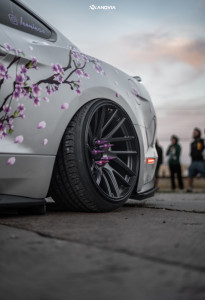 1 2020 Mustang Ford Gt Premium Air Lift Performance Air Suspension Anovia Elder Raven Black