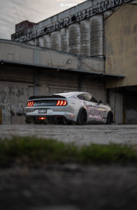 1 2020 Mustang Ford Gt Premium Air Lift Performance Air Suspension Anovia Elder Raven Black