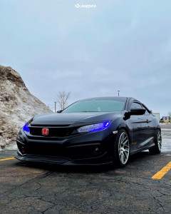 1 2019 Civic Honda Sport Eibach Lowering Springs Anovia Elder Brushed Apollo Silver