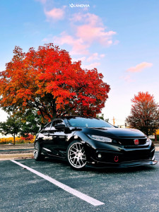 1 2019 Civic Honda Sport Eibach Lowering Springs Anovia Elder Brushed Apollo Silver