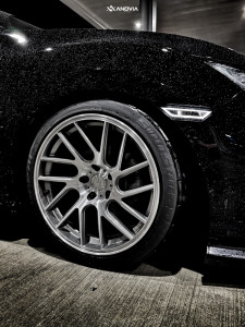 1 2019 Civic Honda Sport Eibach Lowering Springs Anovia Elder Brushed Apollo Silver