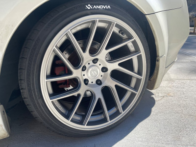 1 2005 G35 Infiniti Base Hr Lowering Springs Anovia Elder Brushed Apollo Silver