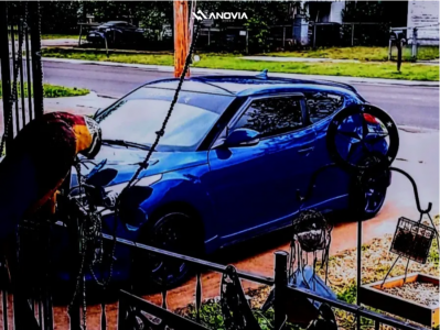 1 2013 Veloster Hyundai Turbo Stock Stock Anovia Night Picasa Blue