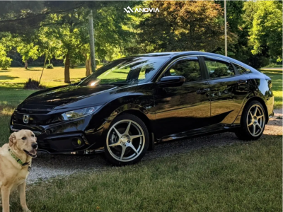 1 2020 Civic Honda Sport Stock Stock Anovia Titan Brushed Apollo Silver