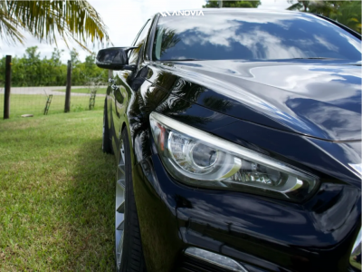 1 2019 Q50 Infiniti Luxe Rs R Lowering Springs Anovia Elder Brushed Apollo Silver