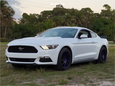 1 2017 Mustang Ford V6 Stock Stock Anovia Night Picasa Blue