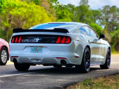 1 2017 Mustang Ford V6 Stock Stock Anovia Night Picasa Blue