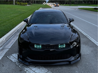 1 2018 Stinger Kia Base Ms America Coilovers Anovia Carrier Brushed Apollo Silver