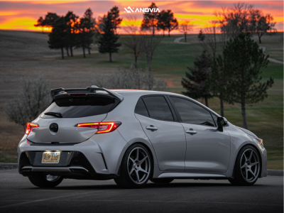 1 2020 Corolla Toyota Xse Rs R Lowering Springs Anovia Titan Brushed Apollo Silver