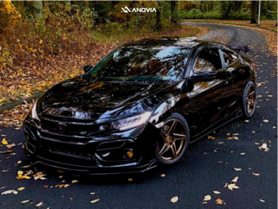 1 2020 Civic Honda Si D2 Racing Lowering Springs Anovia Carrier Brushed Apollo Silver