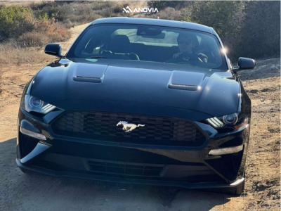 1 2022 Mustang Ford Ecoboost Stock Anovia Night Raven Black