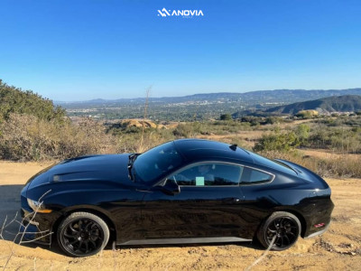 1 2022 Mustang Ford Ecoboost Stock Anovia Night Raven Black