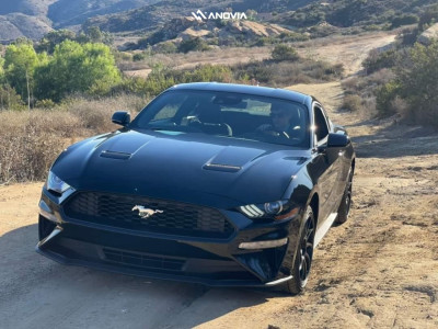 1 2022 Mustang Ford Ecoboost Stock Anovia Night Raven Black