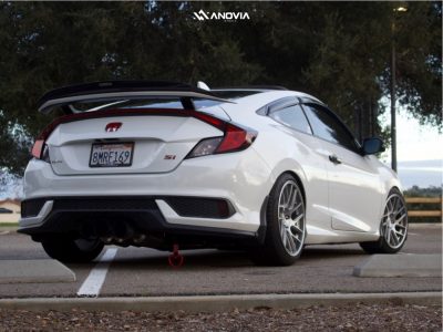 1 2019 Civic Honda Si D2 Racing Lowering Springs Anovia Elder Brushed Apollo Silver