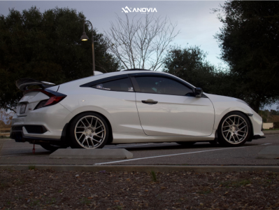 1 2019 Civic Honda Si D2 Racing Lowering Springs Anovia Elder Brushed Apollo Silver