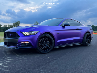 1 2015 Mustang Ford Gt Stock Stock Anovia Elder Raven Black