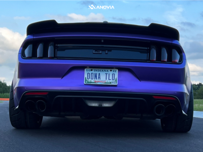 1 2015 Mustang Ford Gt Stock Stock Anovia Elder Raven Black