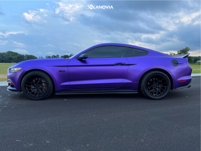 1 2015 Mustang Ford Gt Stock Stock Anovia Elder Raven Black