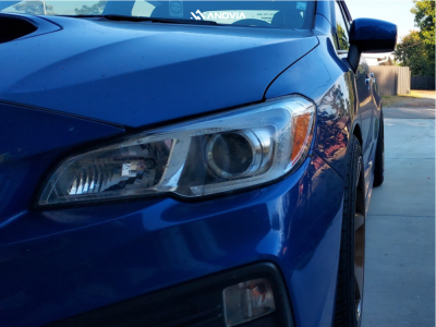 1 2019 Wrx Subaru Premium Swift Springs Lowering Springs Anovia Kinetic Rodin Bronze