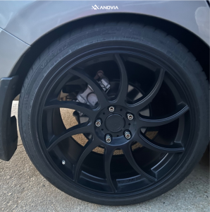 1 2019 Civic Honda Ex Godspeed Project Lowering Springs Anovia Night Raven Black