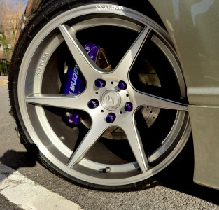 1 2007 Civic Honda Si D2 Racing Coilovers Anovia Titan Brushed Apollo Silver