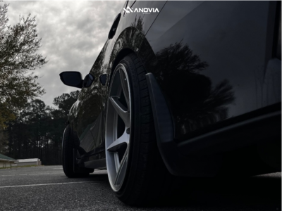 1 2019 Civic Honda Si D2 Racing Lowering Springs Anovia Titan Brushed Apollo Silver