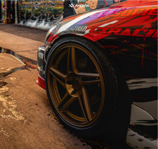 1 2002 Is300 Lexus Base Cxracing Coilovers Anovia Carrier Rodin Bronze