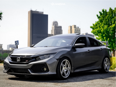 1 2019 Civic Honda Si Eibach Lowering Springs Anovia Carrier Brushed Apollo Silver