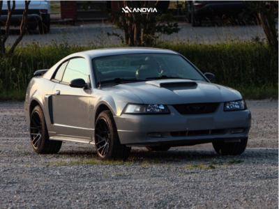1 2003 Mustang Ford Gt Stock Stock Anovia Elder Black