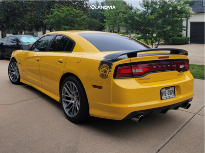 1 2012 Charger Dodge Srt8 Stock Stock Anovia Elder Brushed Apollo Silver