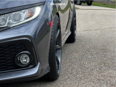 1 2019 Civic Honda Si D2 Racing Lowering Springs Anovia Kano Gunmetal Grey