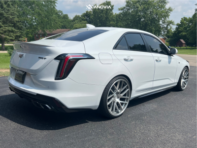 1 2022 Ct4 Cadillac Sport Swift Sport Lowering Springs Anovia Elder Brushed Apollo Silver