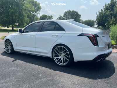 1 2022 Ct4 Cadillac Sport Swift Sport Lowering Springs Anovia Elder Brushed Apollo Silver