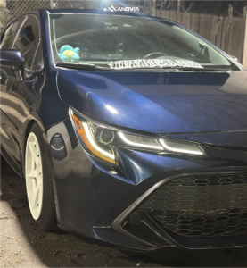 1 2019 Corolla Toyota Se Rs R Lowering Springs Anovia Titan Dove White