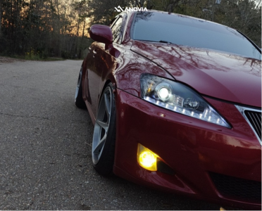 1 2008 Is250 Lexus Base Tein Coilovers Anovia Titan Brushed Apollo Silver