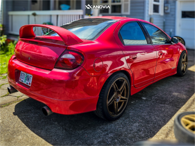 1 2005 Neon Dodge Srt 4 Megan Racing Coilovers Anovia Carrier Rodin Bronze