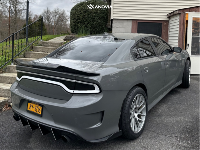 1 2023 Charger Dodge Gt Stock Stock Anovia Elder Brushed Apollo Silver