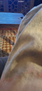 1 1995 Mustang Ford Gt Bbk Lowering Springs Anovia Elder Brushed Apollo Silver