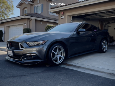 1 2017 Mustang Ford Ecoboost Stock Stock Anovia Titan Brushed Apollo Silver
