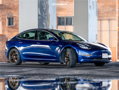 1 2019 3 Tesla Performance Stock Stock Anovia An 10 Bronze Machined