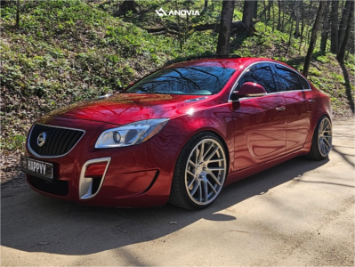 1 2013 Regal Buick Gs Lo Lowering Springs Ebay Lowering Springs Anovia Elder Brushed Apollo Silver