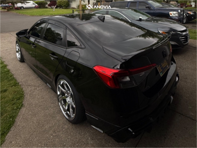 1 2024 Civic Honda Sport D2 Racing Lowering Springs Anovia Kano Chrome